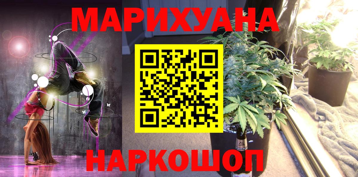 Бошки Шишки план Тара