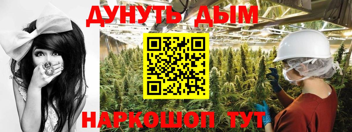 Конопля MAZAR  Вход с VPN  Тара  Марихуана гибрид 